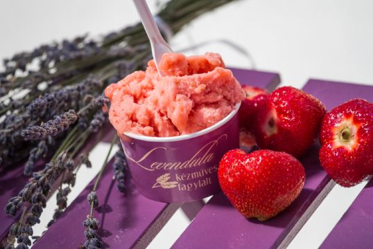 Levendula Kezmuves Fagylaltozo餐厅图片