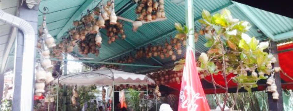 Il Giardino d'Italia餐厅图片