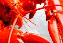 Crazy Lobster & Shellfish购物图片