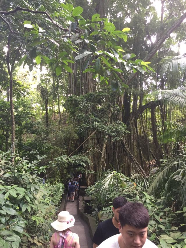 Ubud Monkey Forest