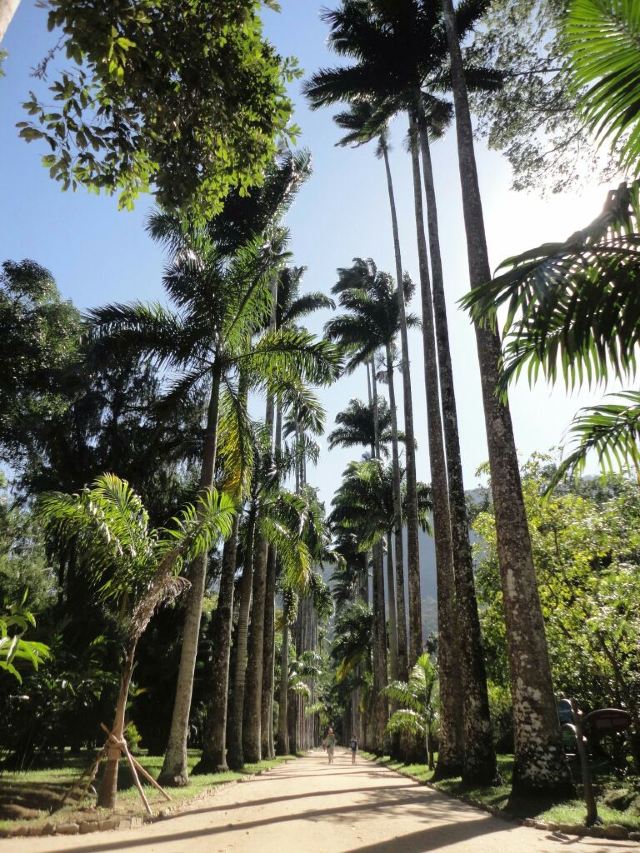 Ibirapuera Park