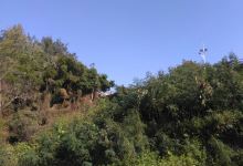 好美寮湿地景点图片