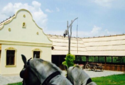 Majkin Salas美食图片