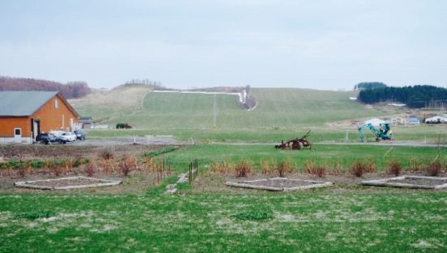 Restaurant Milk Hall