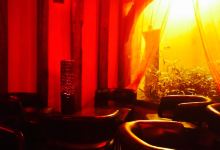 Blue Mountain美食图片