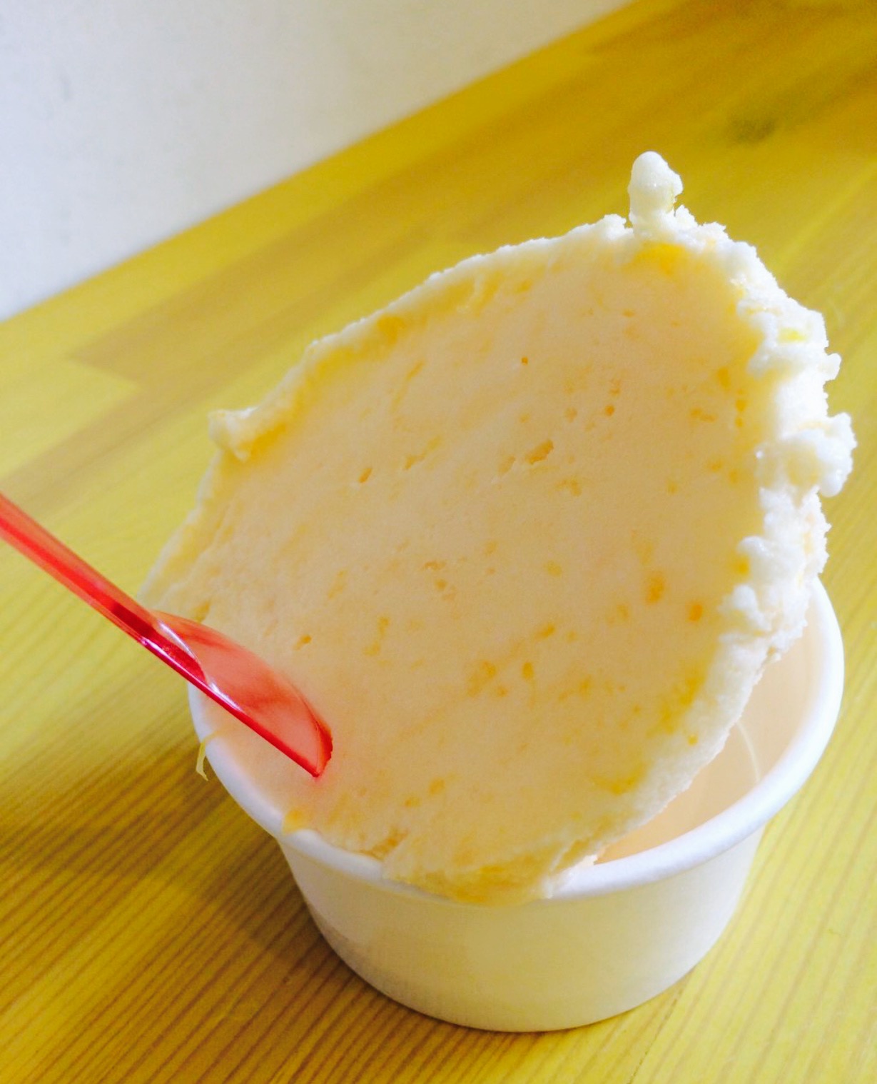 Gelateria Fruits Laboratory