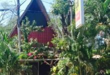 Rancho Tico美食图片