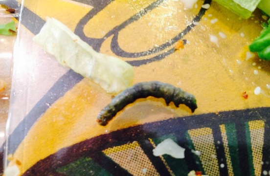 Mellow Mushroom Dunwoody餐厅图片