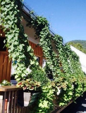 Pizza Jerks餐厅图片