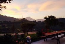Trattoria Pizzeria Felicita美食图片