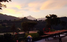 Trattoria Pizzeria Felicita餐厅图片