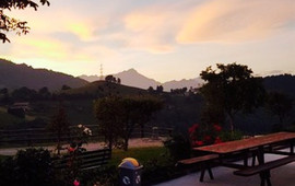 Trattoria Pizzeria Felicita