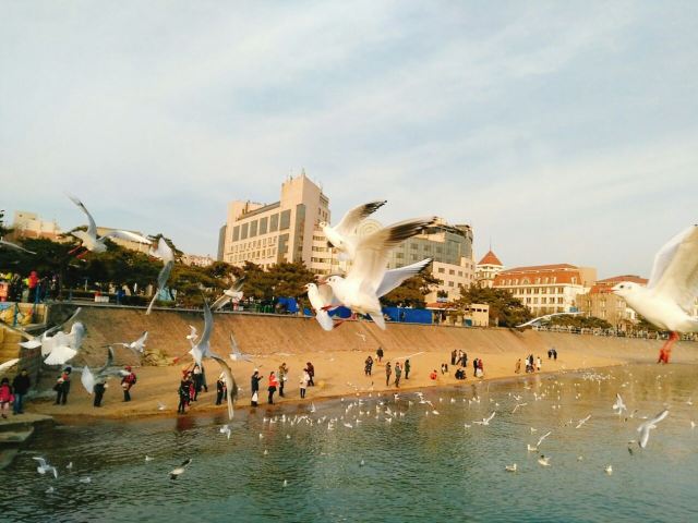 잔교(잔차오)
