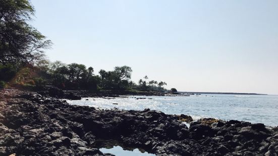 熔岩場