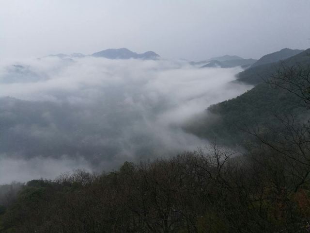 Hangzhou Lingyin Temple and Feilai Peak Scenic Spot