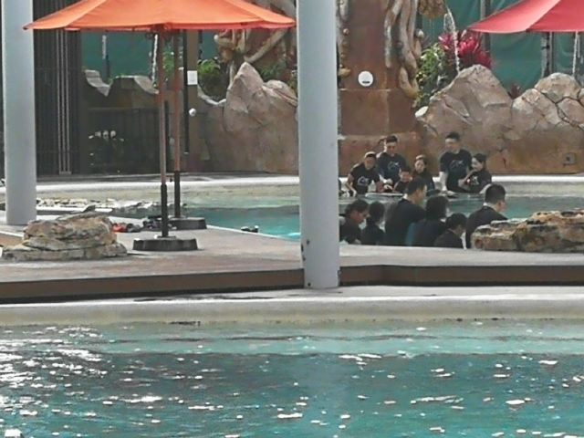Adventure Cove Waterpark