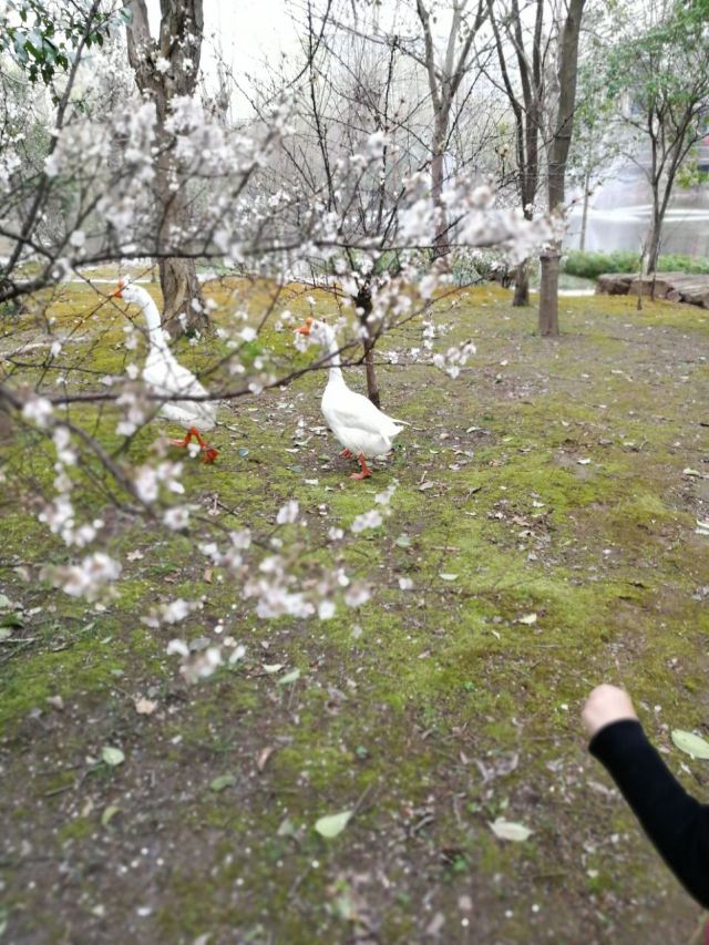 南通濱江公園