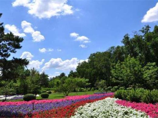 黑龙江省森林植物园