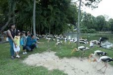 马来西亚国家动物园-安邦-doris圈圈