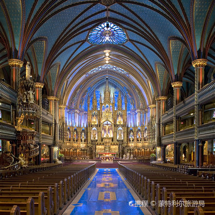 加拿大蒙特利尔圣母大教堂+皇家山公园+栖息地67一日游