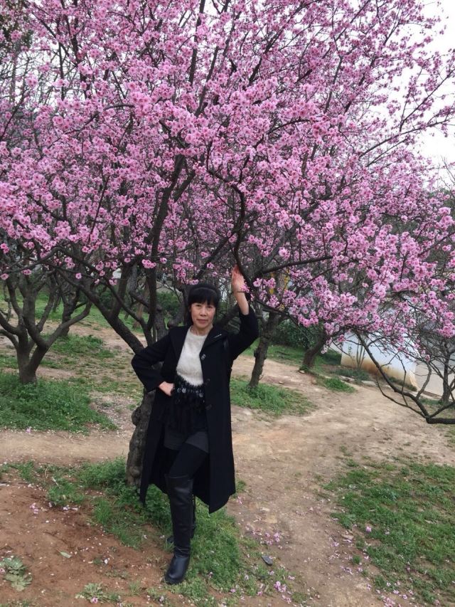 매원