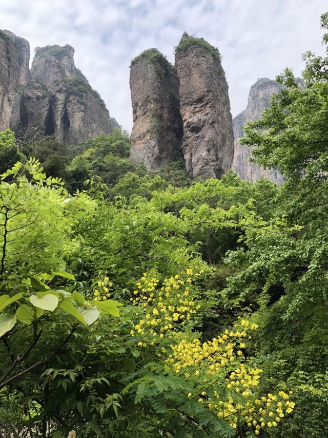 링펑징취