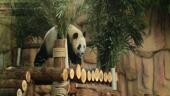 Quanzhou Wildlife Zoo (Quanzhou Wildlife World)