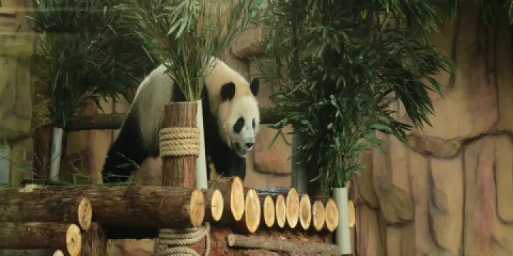 泉州海絲野生動物世界