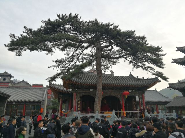 五爺廟