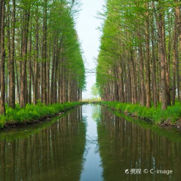李中水上森林公园+瘦西湖+高邮·湖上花海+连云港在海一方公园+东夷小镇+日照海滨国家森林公园+万平口海滨风景区+灯塔风景区+日照世帆赛基地+山海天阳光海岸景区6日跟团游
