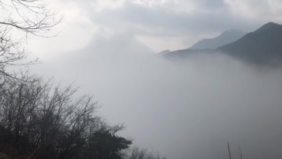 庐山云雾