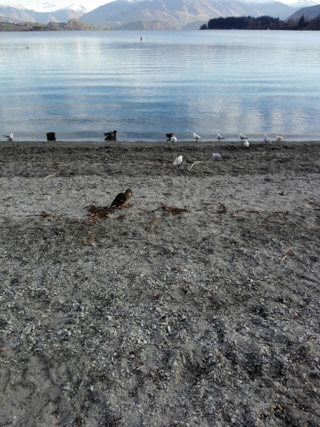 Lake Wanaka
