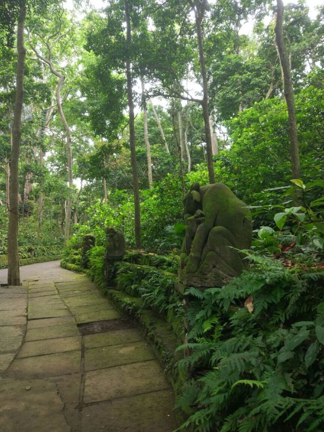 Ubud Monkey Forest