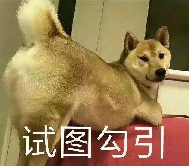 週末好去處!免費又人少的拍照聖地在這裡!佛山出發地鐵直達!