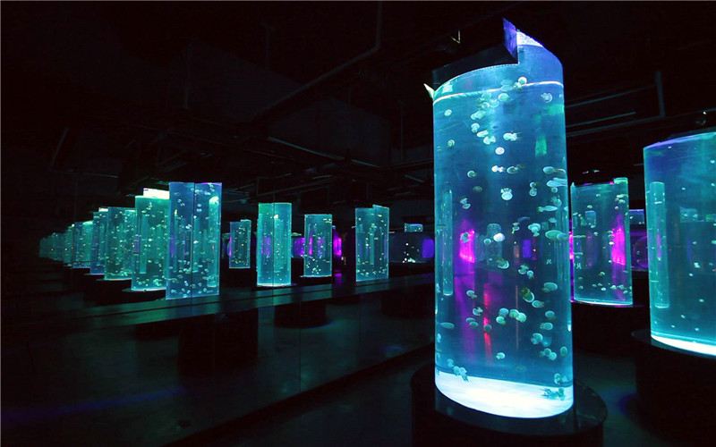 Gallery 1