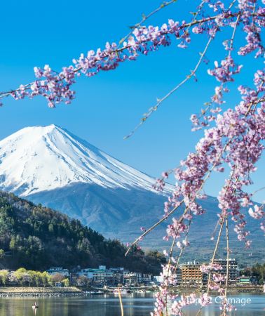 6D5N • Japan Kanto, Kansai - Tokyo, Mt. Fuji, Nagoya, Kyoto, Osaka