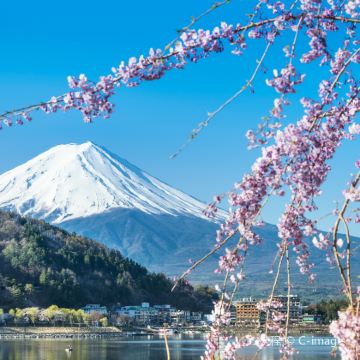 日本大阪+京都+富士山+东京7日6晚拼小团