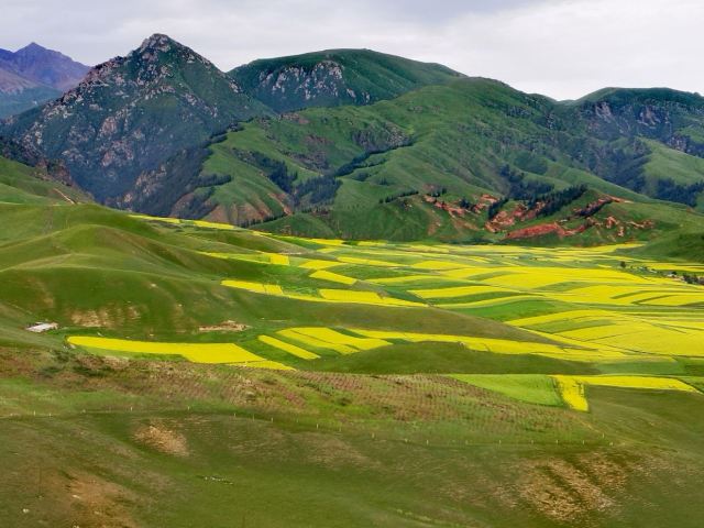 Zhuo'er Mountain