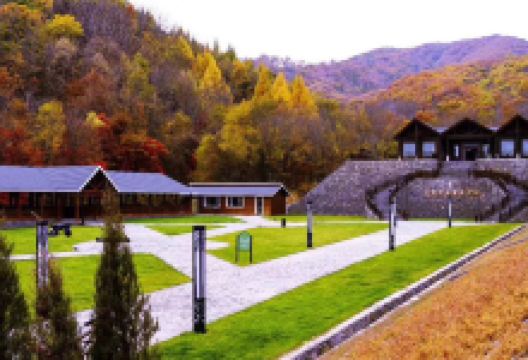 云岭野山参风景区景点图片