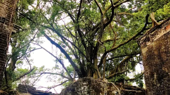 鄧邊