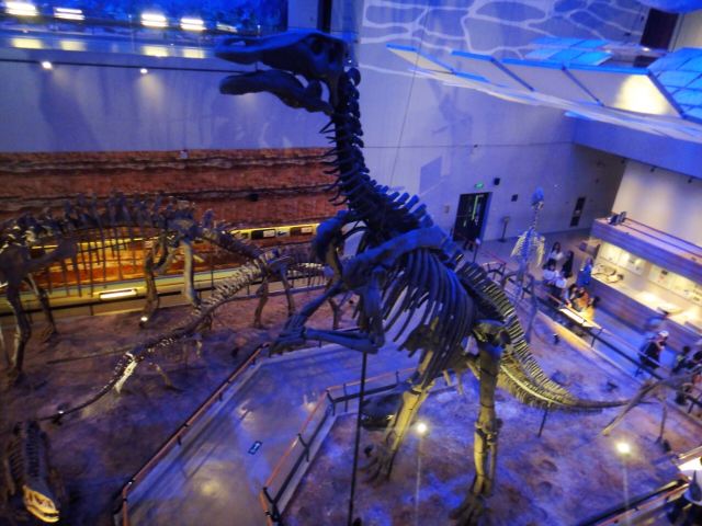 Guangdong Provincial Museum