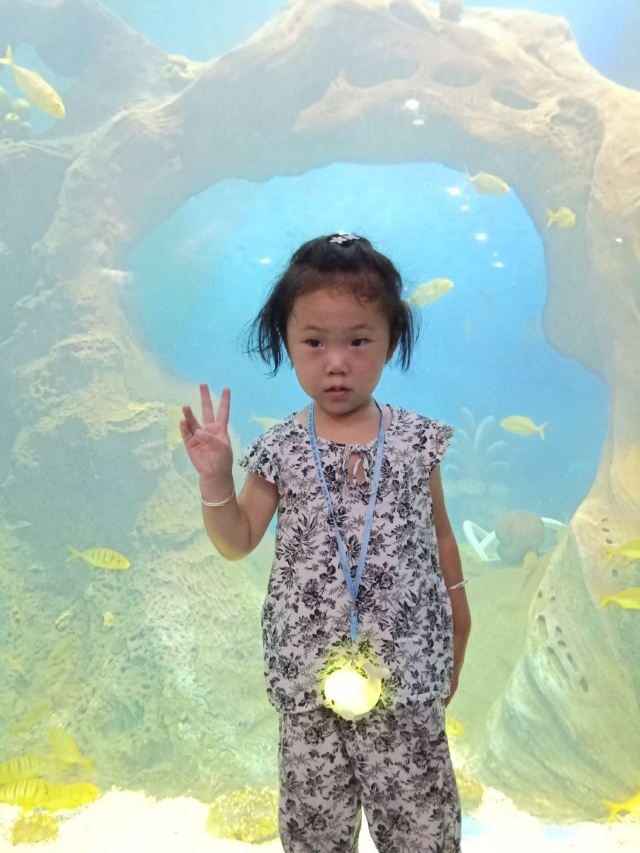 Qujiang Polar Ocean Park