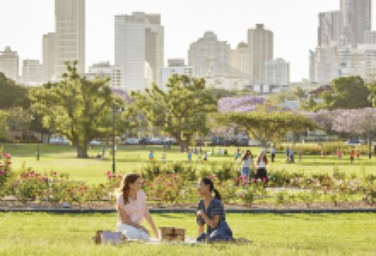 新农场公园景点图片