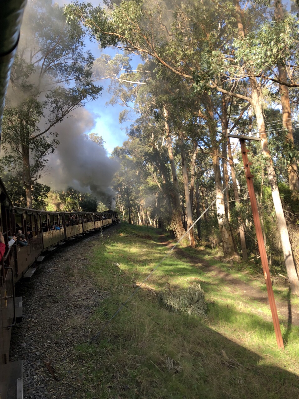 历史的火车在森林中穿梭