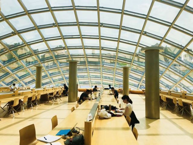 The University of Chicago