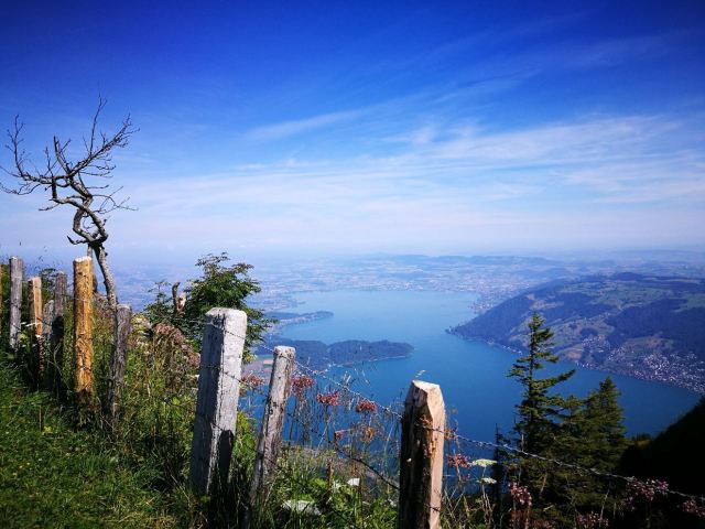 Mt. Rigi
