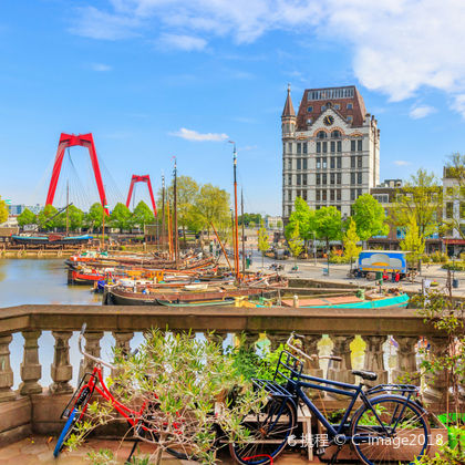 荷兰鹿特丹动物园+伊拉斯谟斯大桥+Markthal+老港口一日游