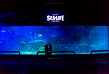 釜山SEA LIFE水族馆景点图片