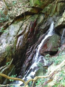 莫干山风景区-天桥-德清-小李飞刀