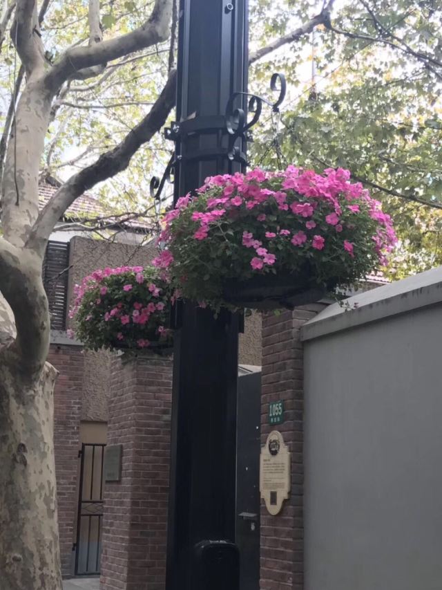 Yuyuan Road
